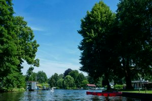 IMG_1627.jpg