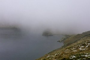 IMG_7928.jpg