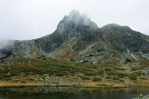 IMG_8258.jpg