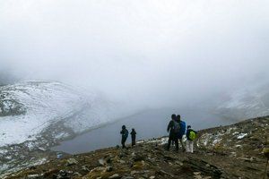 IMG_7798.jpg