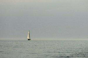 IMG_0115.jpg