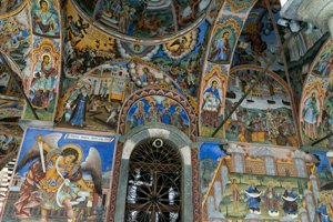 IMG_6487.jpg