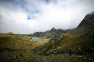 IMG_8068.jpg