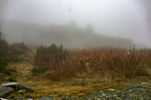 IMG_7381.jpg