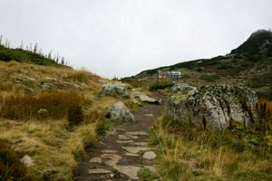 IMG_8392.jpg