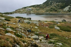 IMG_8387.jpg