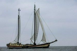 IMG_9511.jpg