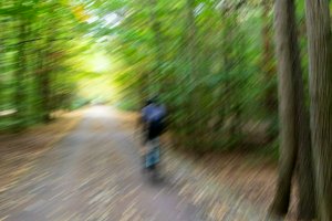 IMG_6200.jpg