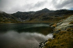 IMG_8334.jpg