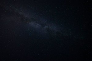 IMG_4552.jpg