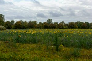 IMG_6194.jpg