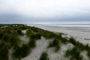 IMG_9585.jpg