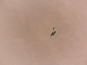 DJI_0548.jpg