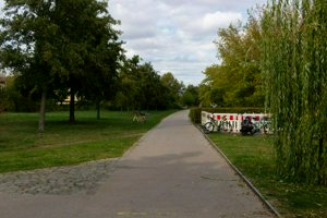 IMG_6343.jpg
