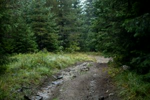 IMG_6852.jpg