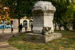 IMG_6244.jpg