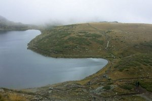 IMG_7952.jpg