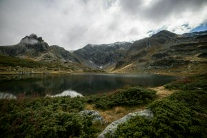 IMG_8330.jpg