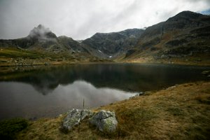 IMG_8332.jpg