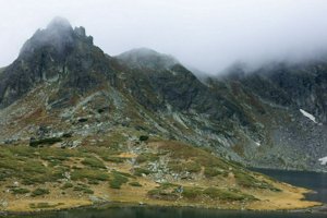 IMG_8229.jpg