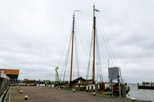 IMG_8417.jpg