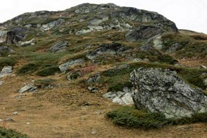 IMG_8292.jpg