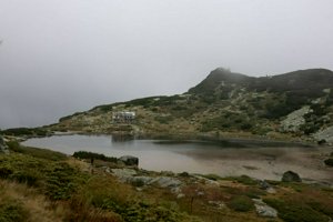 IMG_8383.jpg