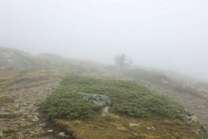 IMG_7576.jpg