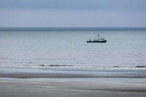 IMG_9598.jpg