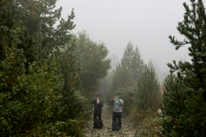 IMG_7369.jpg