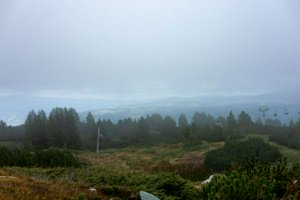IMG_8417.jpg