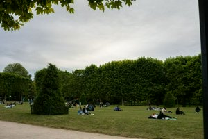 IMG_8458.jpg
