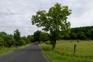 IMG_6724.jpg