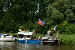IMG_9020.jpg