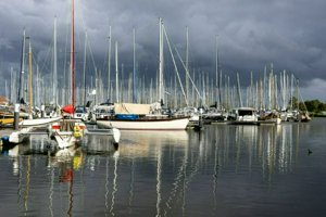 IMG_8812.jpg