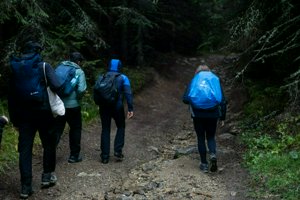IMG_6846.jpg