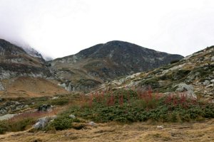 IMG_8301.jpg