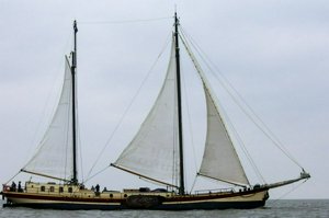 IMG_9515.jpg