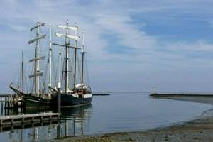 IMG_9894.jpg
