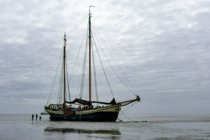 IMG_7774.jpg