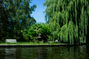 IMG_1640.jpg