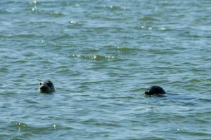 IMG_9719.jpg