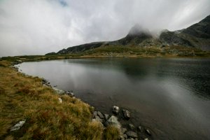 IMG_8339.jpg