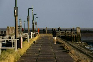 IMG_9411.jpg
