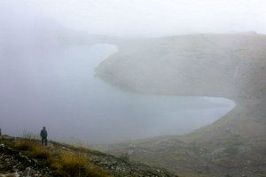 IMG_7943.jpg