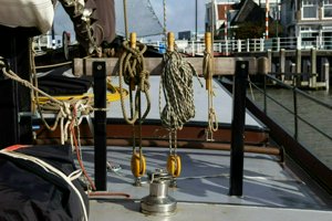 IMG_4149.jpg