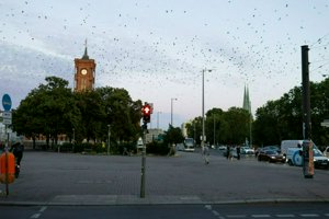 IMG_1928.jpg