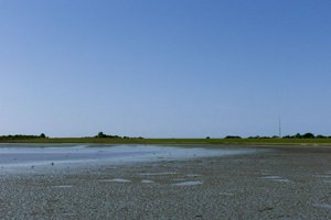 IMG_9213.jpg