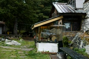 IMG_7292.jpg