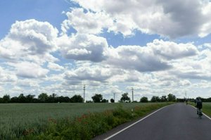 IMG_6983.jpg